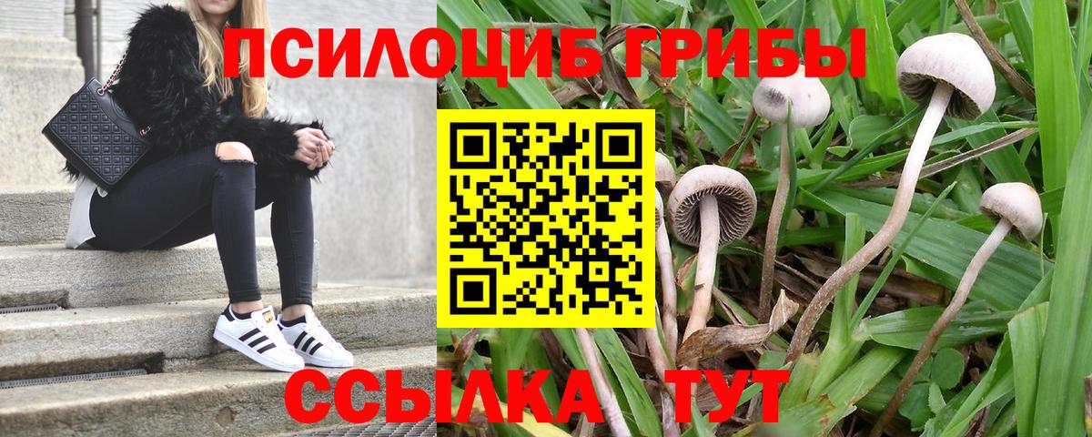 Галлюциногенные грибы Psilocybine cubensis  Вход с VPN  Барнаул 